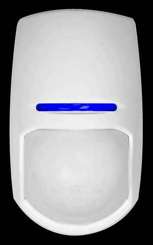SonicSecuritySystems giphygifmaker GIF