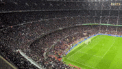 Camp Nou Barca GIF