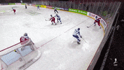 GIF by International Ice Hockey Federation