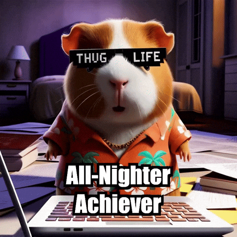 College Deadline GIF by Guinea Gambino
