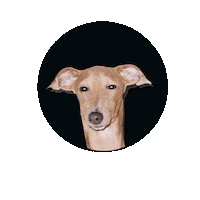 fashion paris Sticker by CoccoleBimbi