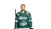 SteelersBietigheim eishockey steelers del scb Sticker