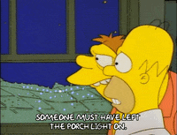Season 1 Episode 10 GIF by The Simpsons