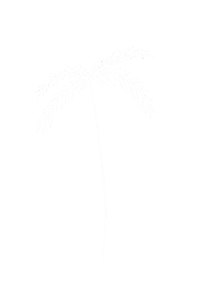 Palm Tree Summer Sticker