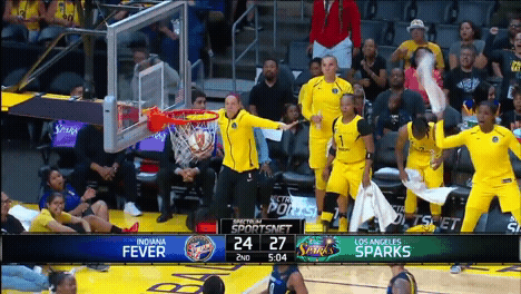 los angeles sparks celebration GIF by WNBA