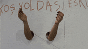 contemporary art installation GIF by Art21