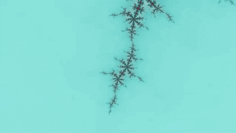 Benoit Mandelbrot Lsd GIF by xponentialdesign