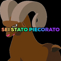 bestnapoli  GIF