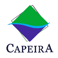 lagodecapeira eco ecologico capeira ecocapeira Sticker