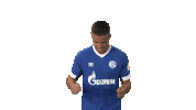 dance football Sticker by Bundesliga