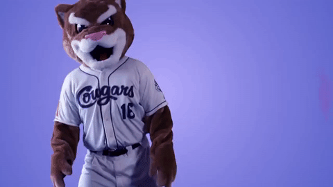 hotline bling dancing GIF by Kane County Cougars