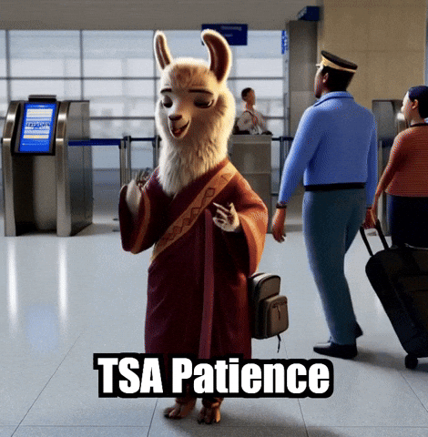 Travel Airport GIF by dalaillamazen