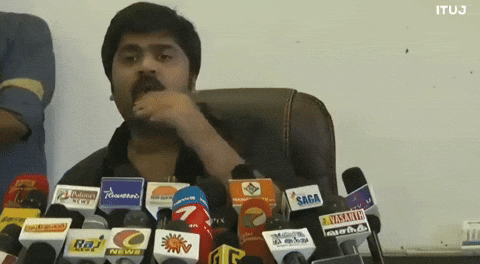 Interview Cow GIF