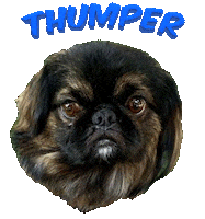 Dog Thumper Sticker