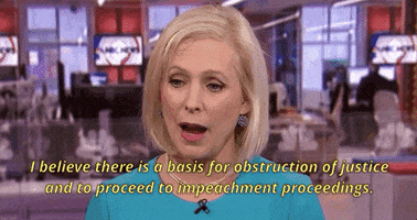 Kirsten Gillibrand Obstruction Of Justice GIF