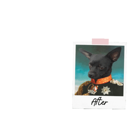 Dog Sticker by Gatooss