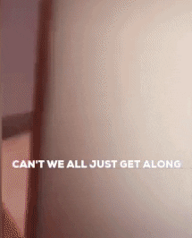 fightmilker giphyupload cat toilet bathroom GIF