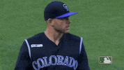 regular season mlb 2019 GIF by MLB
