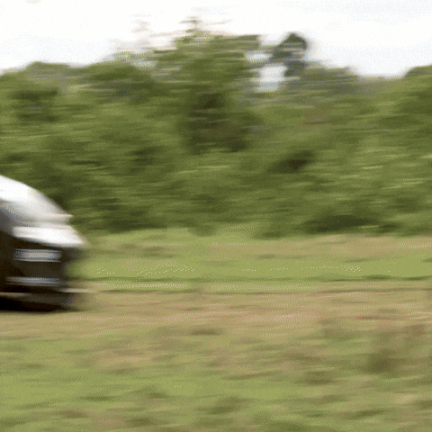 Fun Rallying GIF by FIA World Rally Championship