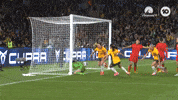 Celebration Goal GIF by Football Australia