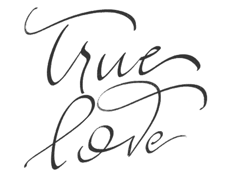 pinkinkstudio giphyupload love wedding truelove Sticker