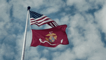 cbs cbs thecode thecodecbs GIF