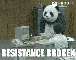 Bear Crypto GIF by ProBit Global