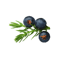 Cocktail Berry Sticker by freikopf