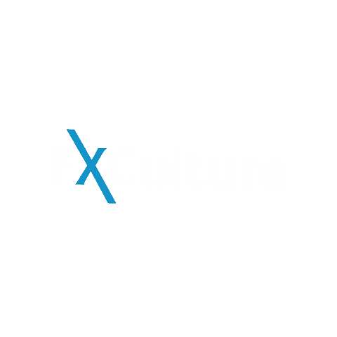 fxculture giphygifmaker Sticker
