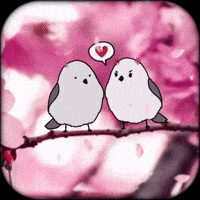 Mad Angry Birds GIF