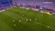 Football Sport GIF by VfL Wolfsburg