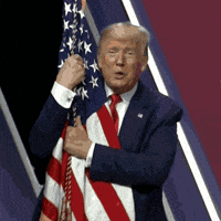 Usa Flag GIF by Deep Trump