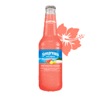 Flowers Watermelon Sticker by Seagram's Escapes