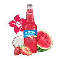 Flowers Watermelon Sticker by Seagram's Escapes