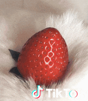 Happy Dog GIF by TikTok France