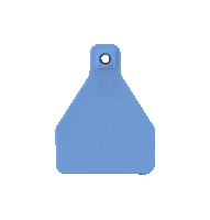 Pig Goat Sticker by datamarslivestock