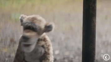 happy yas GIF by Regal Cinemas