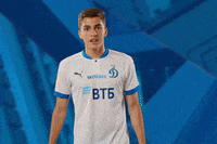 GIF by FC Dynamo Moscow