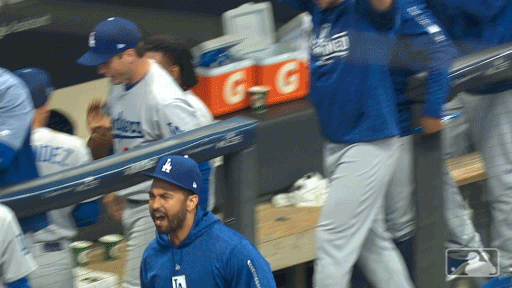 Los Angeles Dodgers Sport GIF by MLB