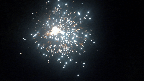 Celebrate Independence Day GIF by emibob