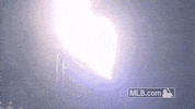 stl GIF by MLB