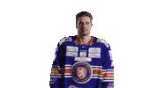Celebration Hockey Sticker by Växjö Lakers