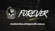 afl womens training GIF by CollingwoodFC