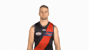 essendonfc jake dons bombers essendon GIF