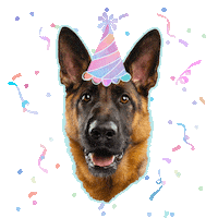 Happy Birthday Feliz Cumpleanos Sticker