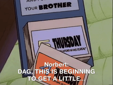 nickrewind giphydvr nicksplat angry beavers giphyab015 GIF