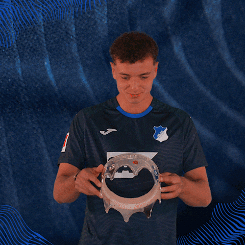 Sport Bundesliga GIF by TSG Hoffenheim