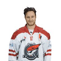 Společně Sticker by Piráti Chomutov