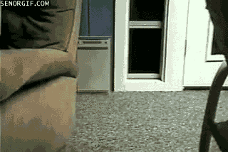 security GIF by Cheezburger
