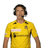 radio-gelb-schwarz goal radio jubel tor Sticker